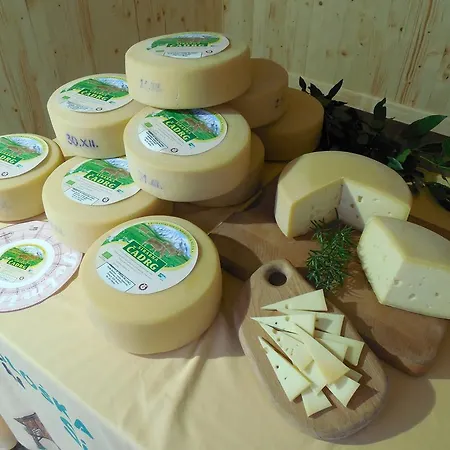 Ekoloska Turisticna Kmetija Pri Lovrcu Lejlighed Tolmin